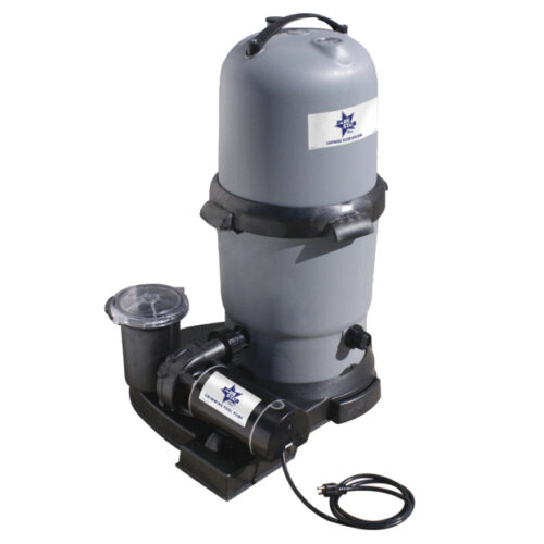 Blue-Star-Cartridge-Filter-and-Pump