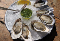 Perlick Ice Beyond Beverage