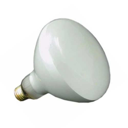 Inground Pool Light Replacement Bulb