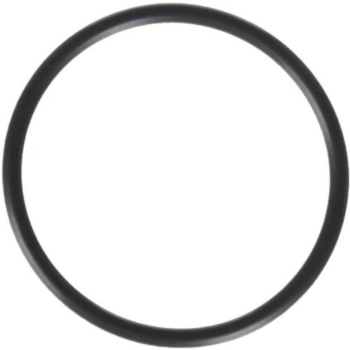 Hayward SPX1495Z1 PowerFlo Union Connector Oring 1