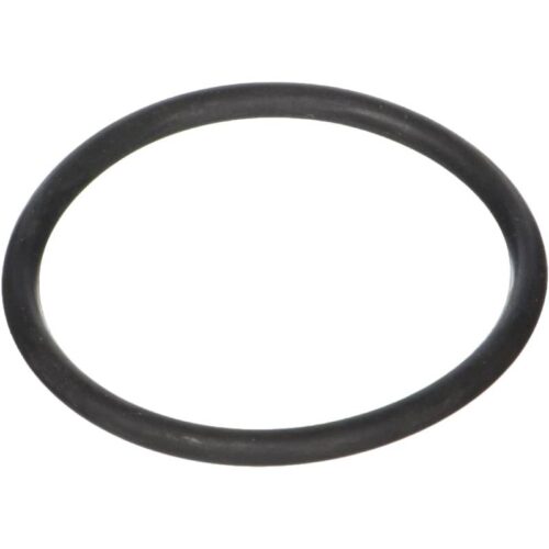 Hayward SPX4000Z1 TriStar/EcoStar/NorthStar Diffuser Oring 1