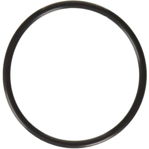 Hayward CLX110K CL100/CL110 Viton Lid O-Ring