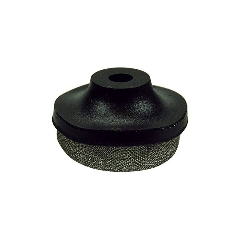 Pentair 154578 .25" TRITON II Air Relief Strainer