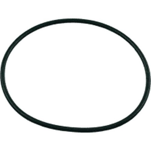 Pentair 16920-0012 6" PKG161 Strainer Cover O-Ring