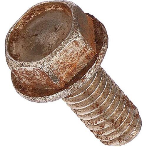 Pentair 354265 Challenger Strainer Pot Screw