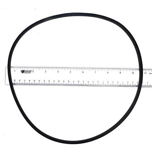 Pentair 355329Z Challenger Seal Plate O-Ring