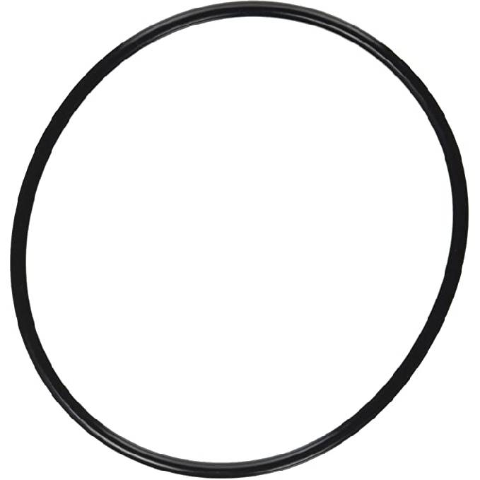 Pentair 357255Z SuperFlo/OptiFlo Strainer Cover O-Ring Pentair 357255Z SuperFlo/OptiFlo Strainer Cover O-Ring
