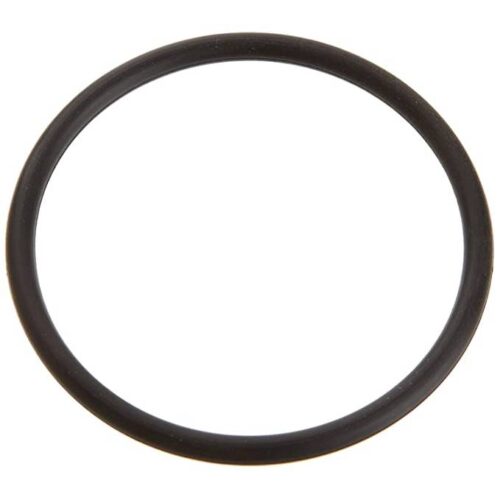 Pentair 6020018 SuperFlo/SuperMax Union O-Ring