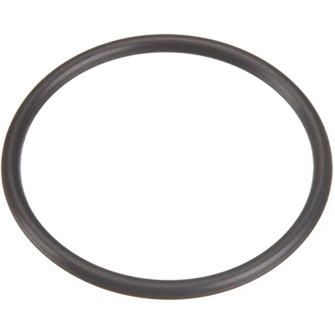 Pentair U9-266 Diffuser O-Ring