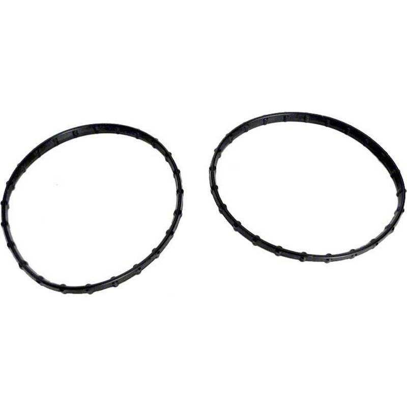 Pentair 178746Z Filter Union Diamond Seal