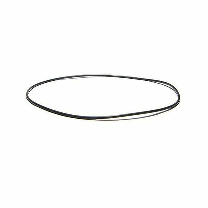 Gecko Alliance 92200310 Volute O-Ring