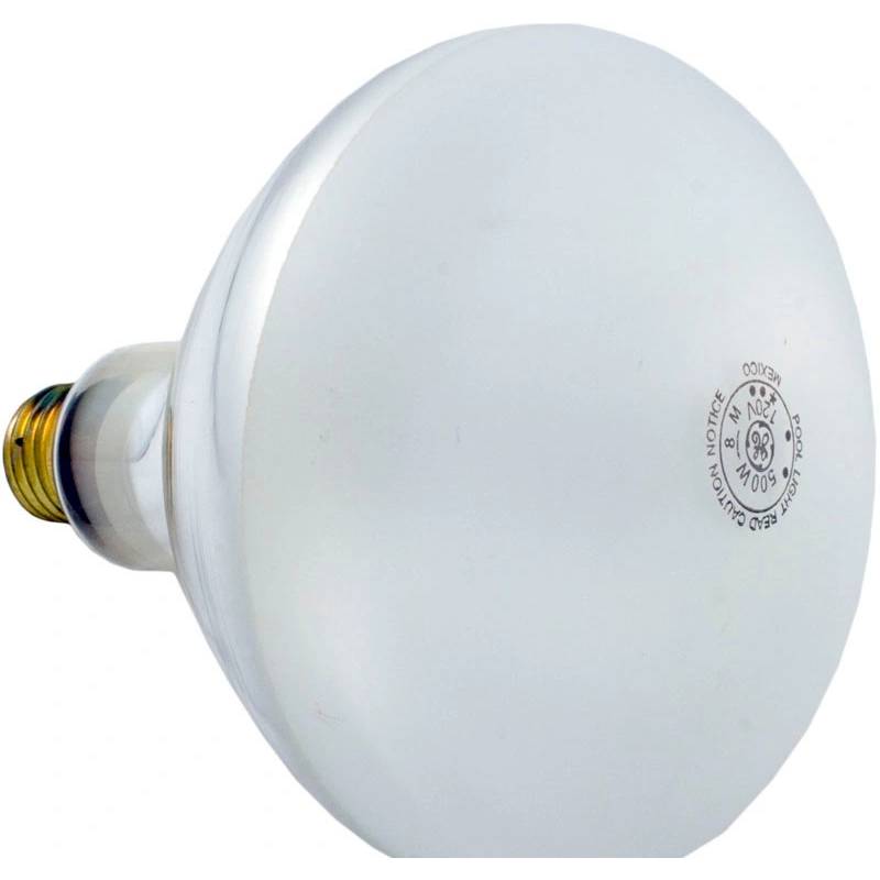 Pentair 79102100z 500w 120v Bulb Kit