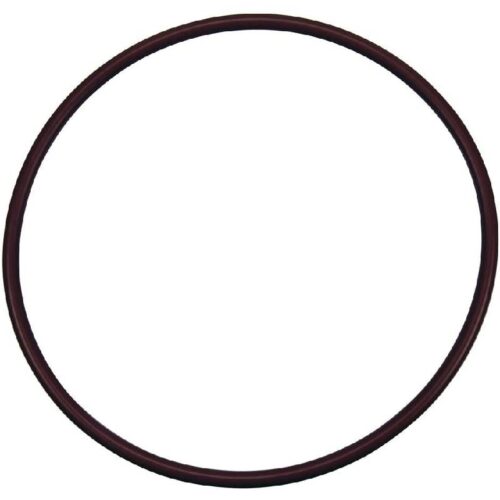 Pentair R172240 High Capacity Chlorinator Lid O-Ring