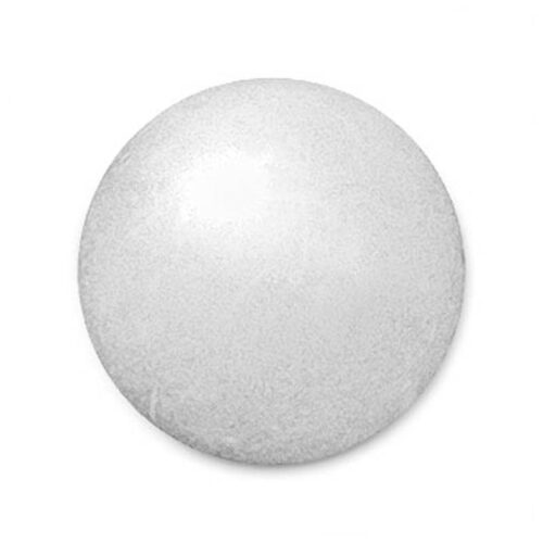 Pentair R172435 1 HC Series Poly Check Ball